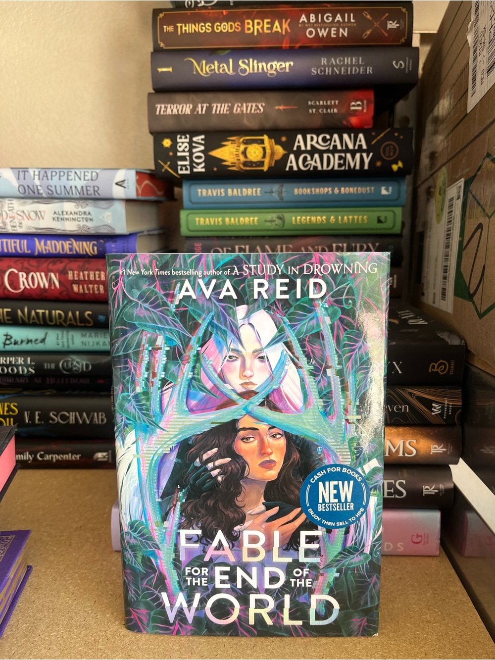 Fable for the End of the World by Ava Reid Deluxe Hardcover